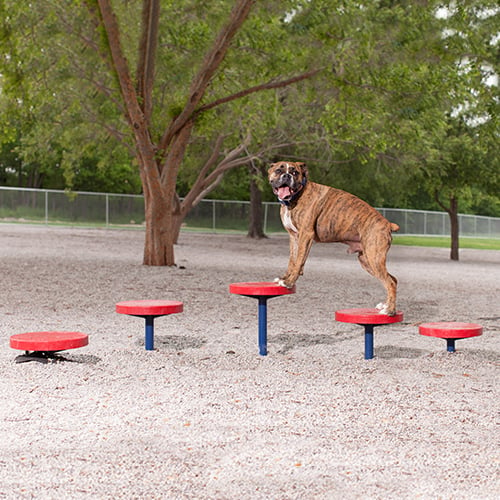 CAD Drawings BIM Models Dog-ON-It-Parks Agility Walk