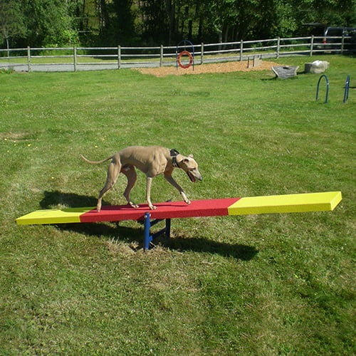 CAD Drawings BIM Models Dog-ON-It-Parks Dog Teeter Totter