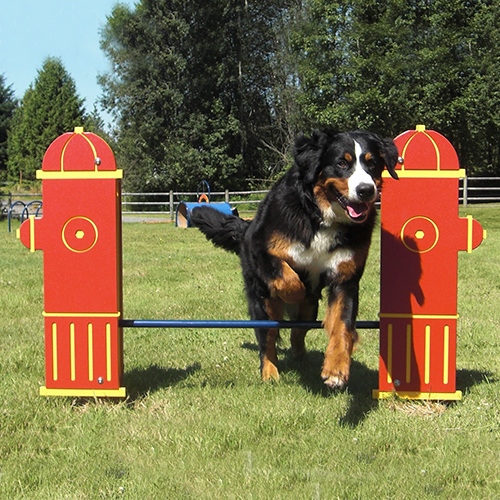 CAD Drawings BIM Models Dog-ON-It-Parks Fire Hydrant Jump