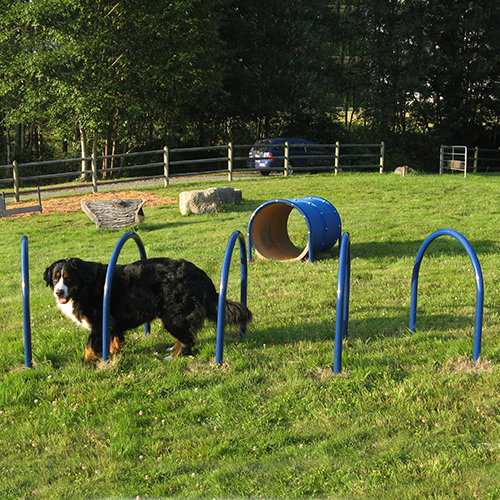 CAD Drawings BIM Models Dog-ON-It-Parks Hound Hoops™