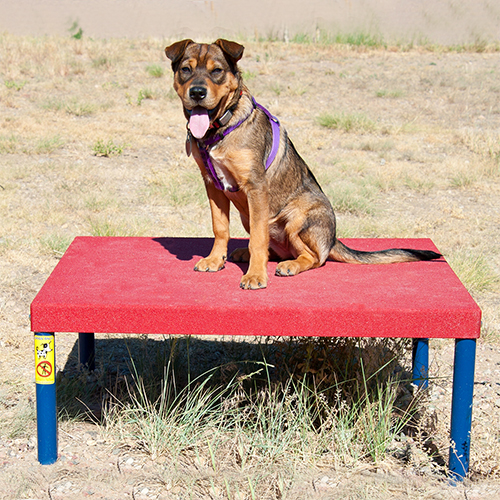 CAD Drawings BIM Models Dog-ON-It-Parks Wait Tables