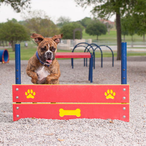 CAD Drawings BIM Models Dog-ON-It-Parks Wall Jumps