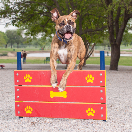 CAD Drawings BIM Models Dog-ON-It-Parks Wall Jumps