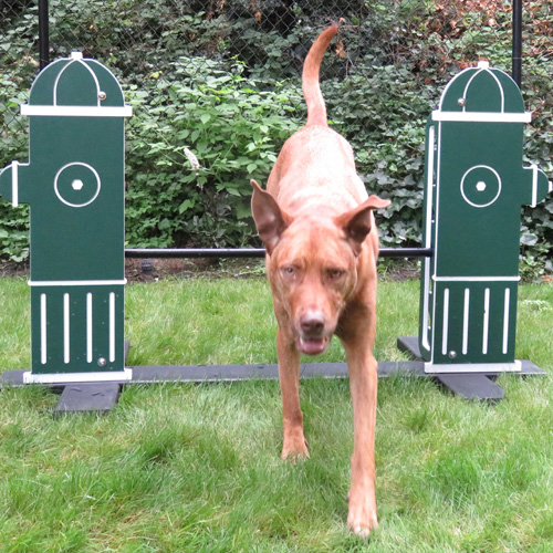 CAD Drawings Dog-ON-It-Parks Eco Adjustable Jump Bar