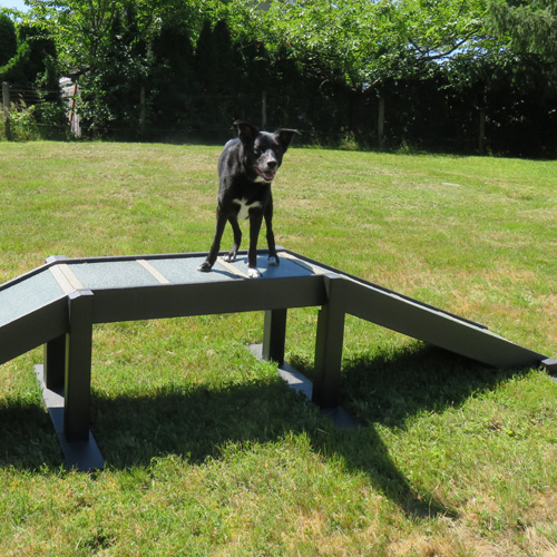 CAD Drawings Dog-ON-It-Parks Eco Dog Walk Ramp (Small)