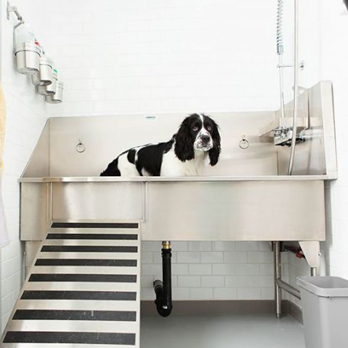 CAD Drawings BIM Models Ridalco Dog Grooming Sink