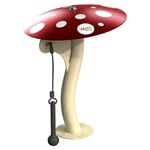 View Small Mushroom