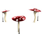 View Freenotes Mushrooms Ensemble