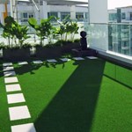 View Synthetic Grass Lawns 