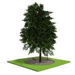 CAD Drawings BIM Models Tree Stake Solutions LLC