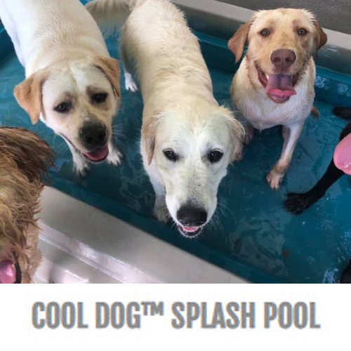 CAD Drawings BIM Models Gyms For Dogs® Cool Dog™ Splash Pool