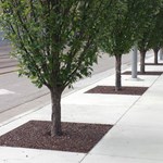 View Permeable Tree Surround Paving System