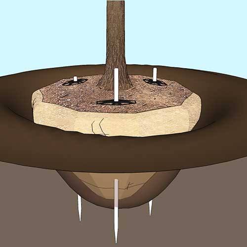 CAD Drawings BIM Models ArborStakes™ Biodegradable Tree Stake