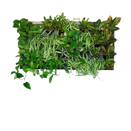 CAD Drawings GrowUp Greenwalls Pre- Built Living Walls 