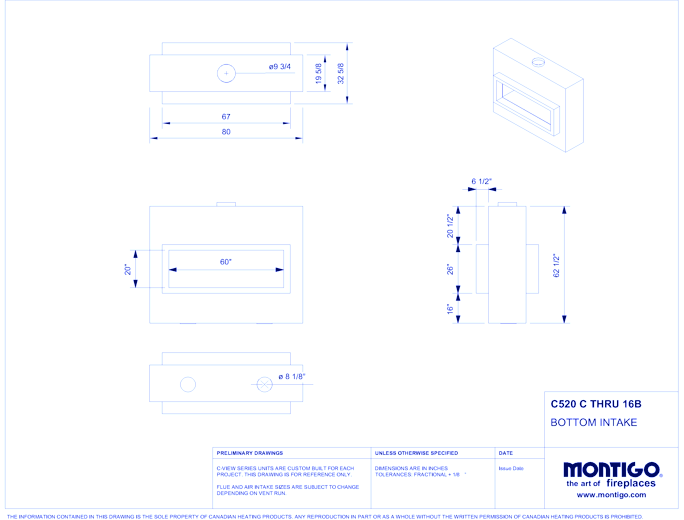 Custom 5' See Through - C-VIEW (C520ST) Commercial Gas Fireplace