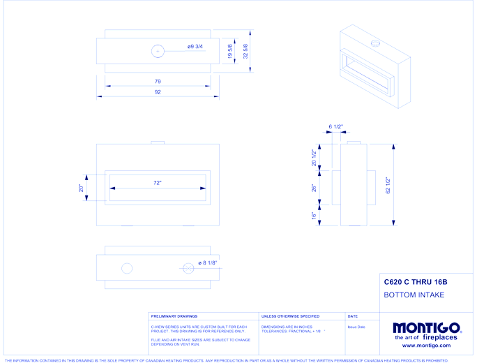 Custom 6' See Through - C-VIEW (C620ST) Commercial Gas Fireplace