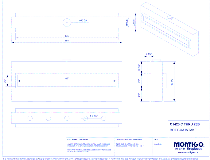 Custom 14' See Through - C-VIEW (C1420ST) Commercial Gas Fireplace