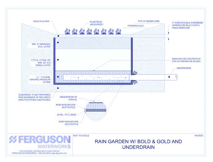 Rain Garden w/ Bold & Gold: With Underdrain Detail