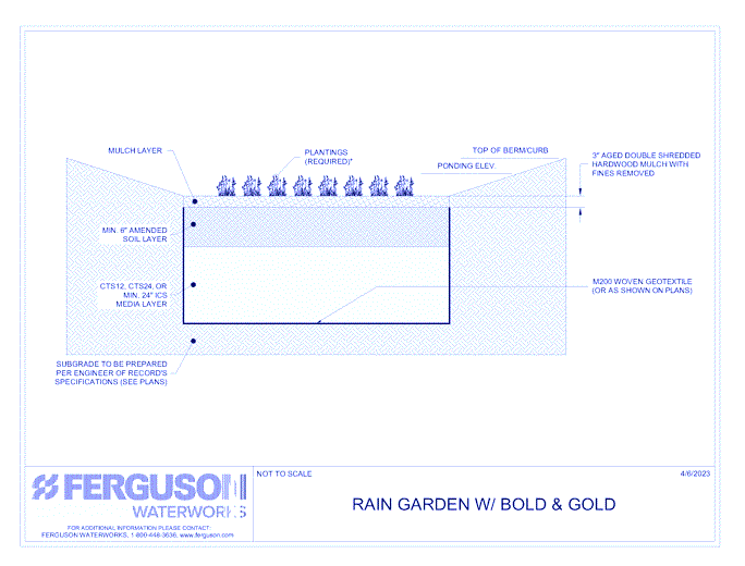 Rain Garden w/ Bold & Gold: Without Underdrain Detail