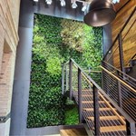View Living Plant Walls