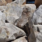 View Boulders: White Quartz