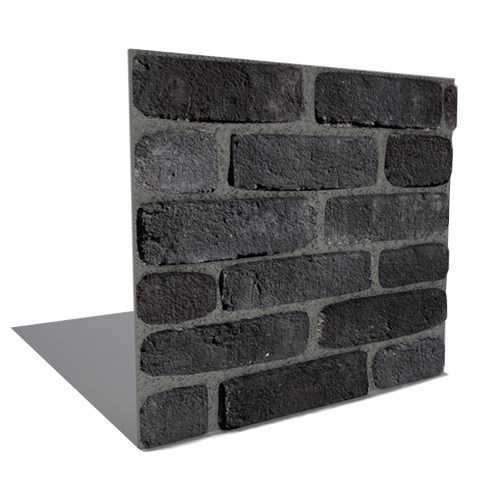 Brick Veneer: TundraBrick