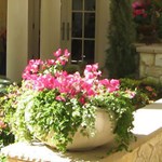 View Rustic Planter