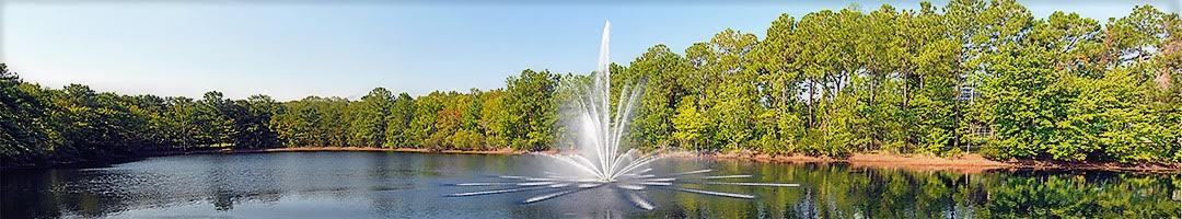 Vertex Aquatic Solutions