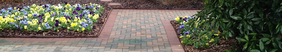 Border Concepts, Inc. Border Concepts, Inc.