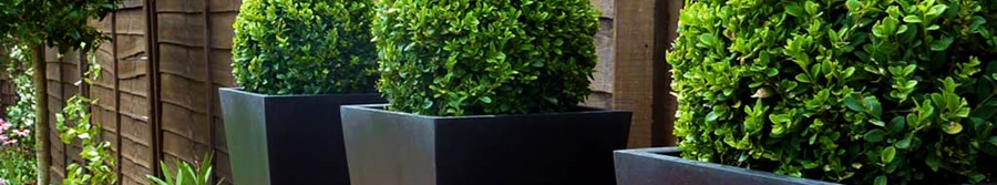 Urban Pot