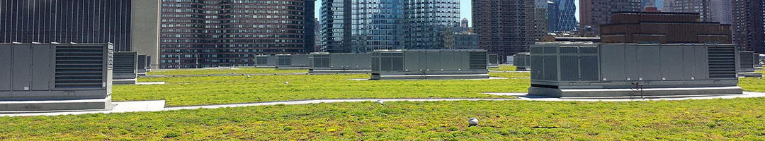 Chatfield Green Roofing