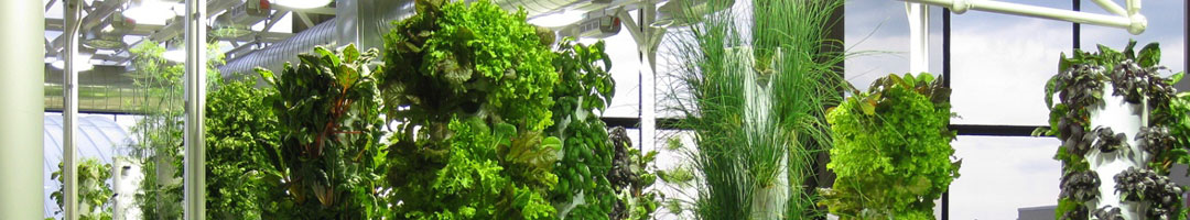 Tower Farms Tower Farms