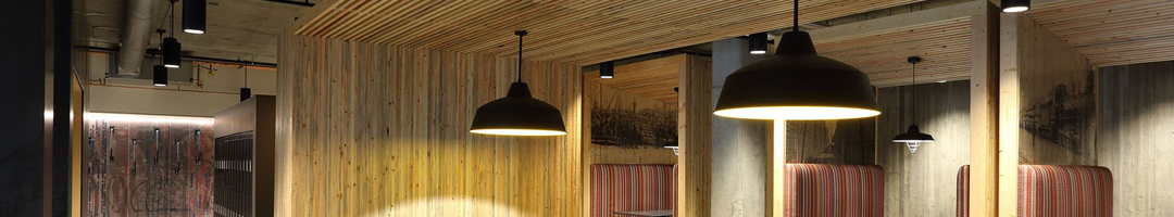ANP Lighting