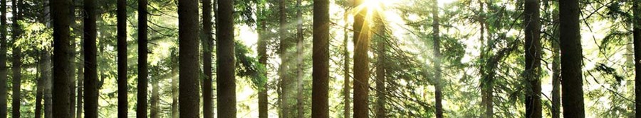Rocky Mountain Bio Products (Biosol) Rocky Mountain Bio Products (Biosol)